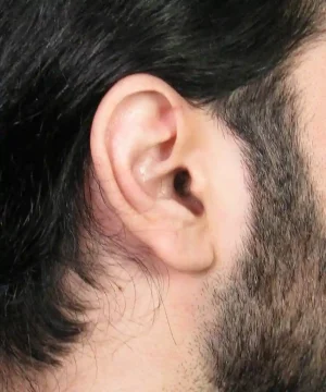 Close-up of a person's left ear and sideburns with dark hair.