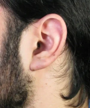 Close-up of a person's ear with dark hair and a beard visible.